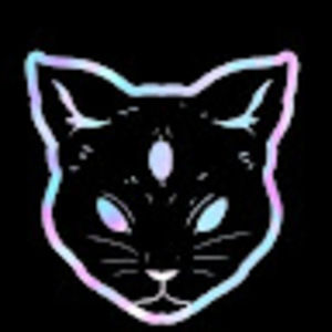 Meet your Posher, Kitty2449